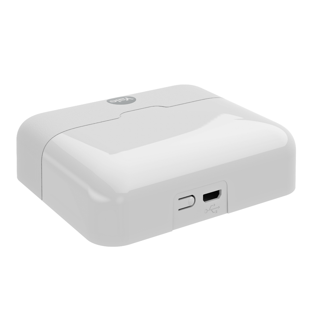 HUB Yale Connect y Módulos WiFi