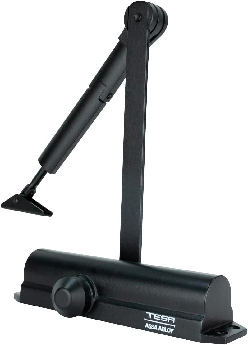 Cierrapuertas 2000 Hold Open Negro Peso Máximo 80kg De Tesa